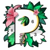在哪里恢复已净化的软件?